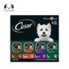 CESAR Adult Wet Dog Food: Real Poultry Variety Pack - Review and Guide