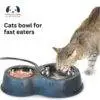 Keep Your Outdoor Cats Warm with Heated Thermo-cat bowl for fast eaters