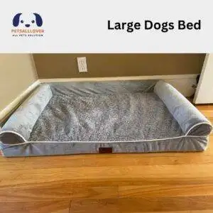 Large Dogs