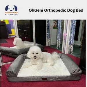 OhGeni Orthopedic Dog Bed