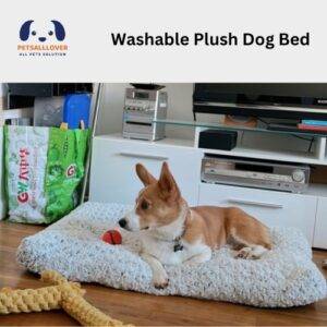 Washable Plush Dog Bed