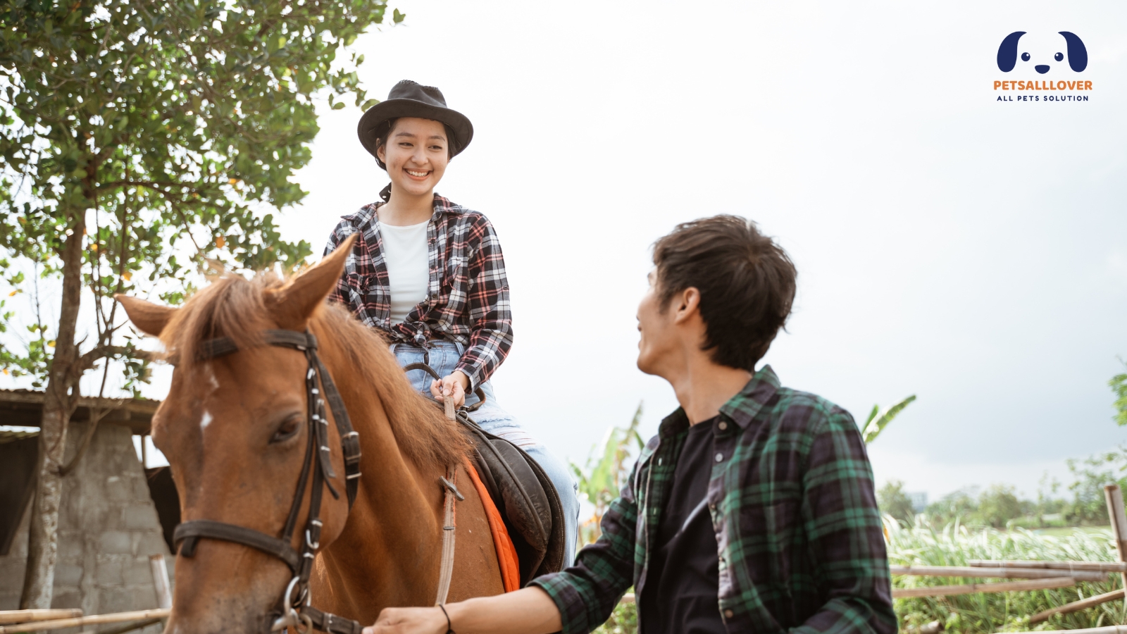 what does it mean when a horse licks you