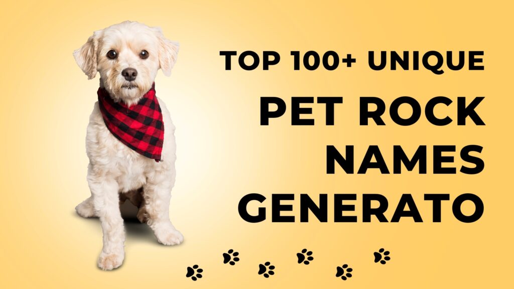 Top 100+ Unique pet rock names generator Right Now