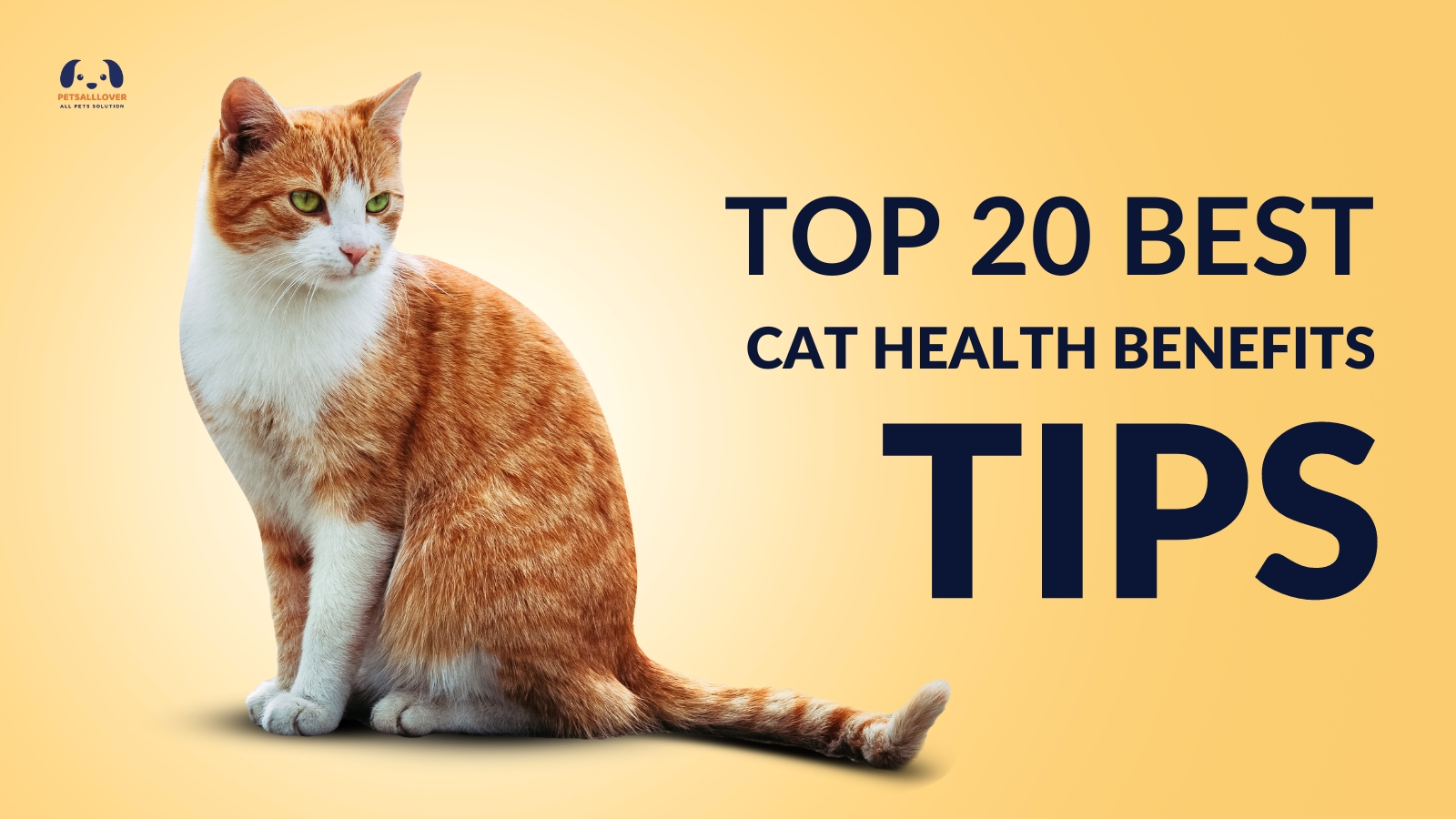 cat health benefits