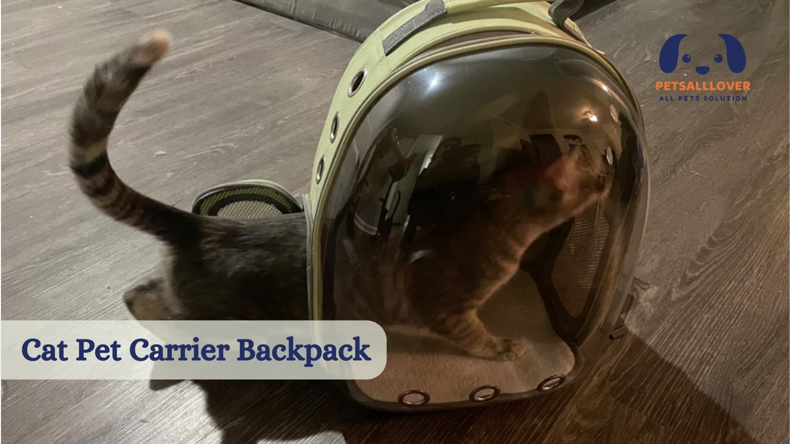 Cat Pet Carrier Backpack