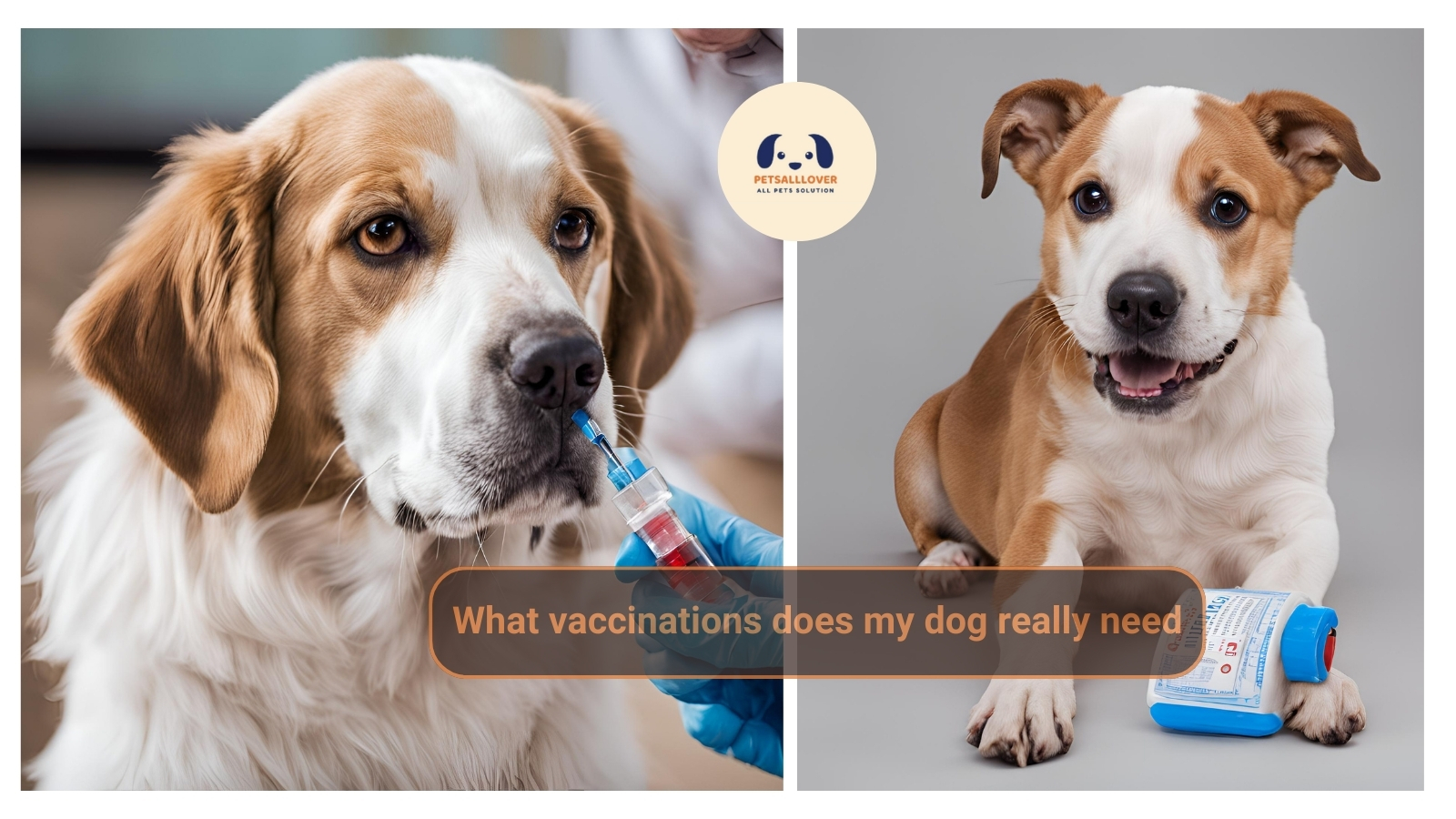 What vaccinations does my dog really need