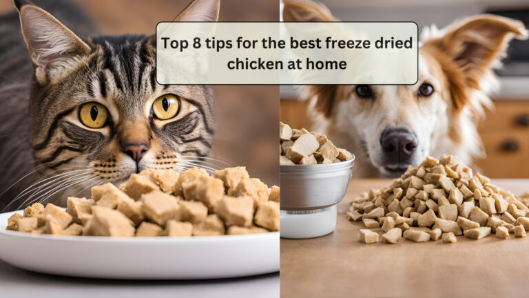 Top 8 tips for the best freeze dried chicken at home