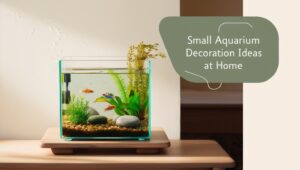 small aquarium decoration ideas at home