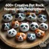 600+ Creative Pet Rock Names & Descriptions (Ebook)