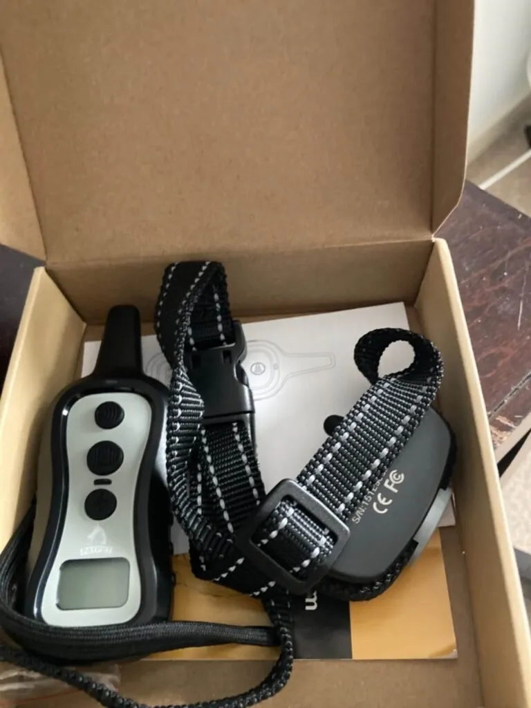 shock collar for stubborn dogs