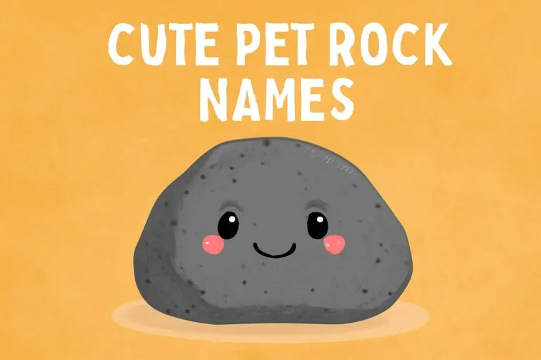 cute pet rock names